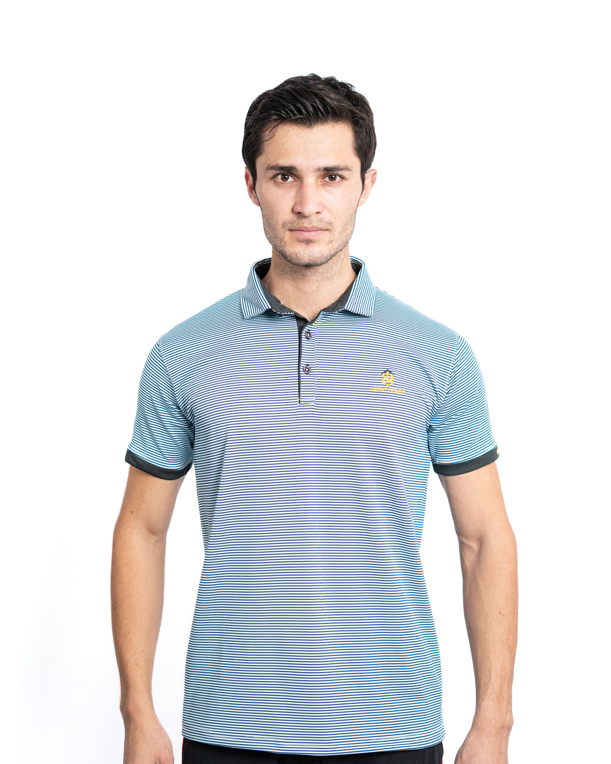 Great Gears Striped Polo